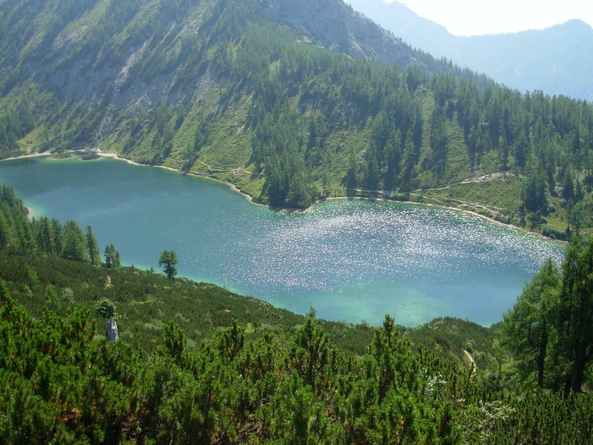 Weideblick Apartment Tauplitz Bagian luar foto