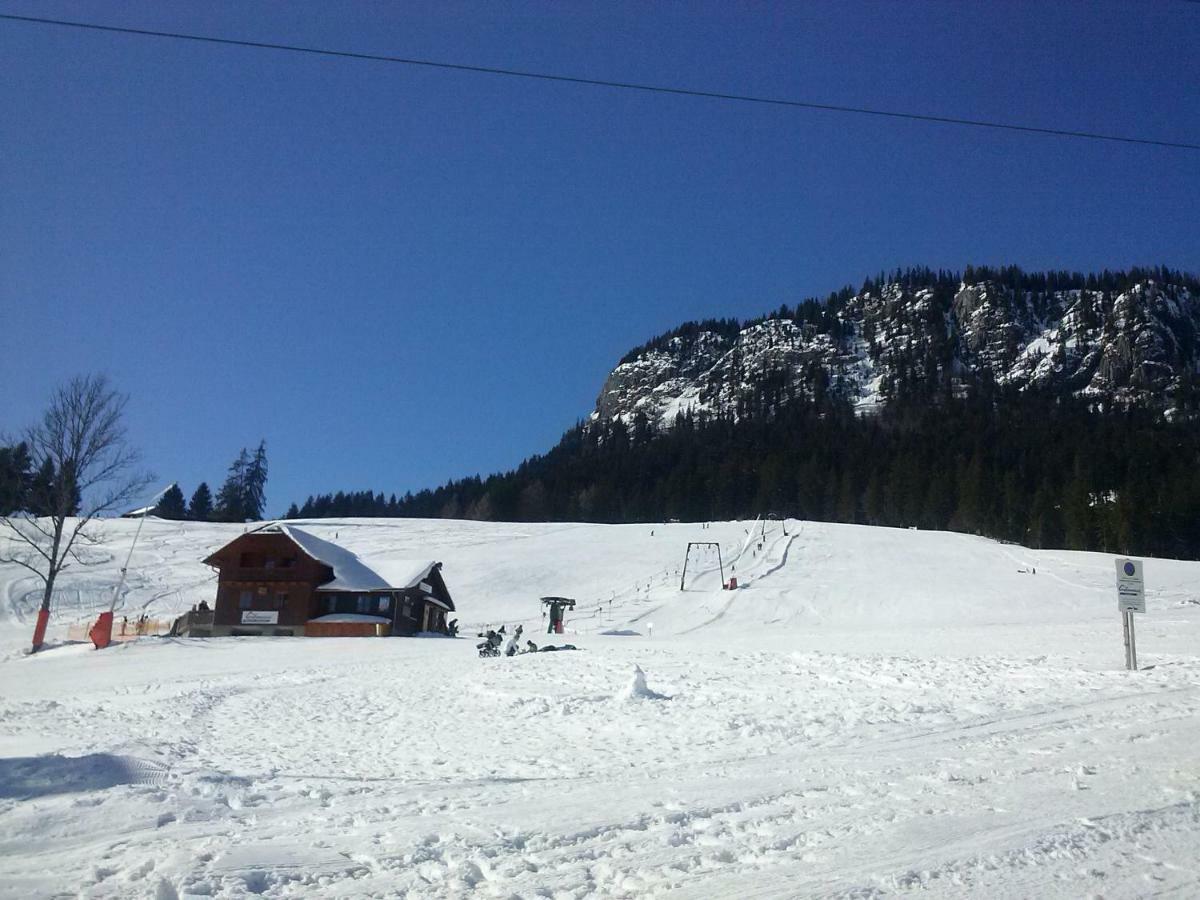 Weideblick Apartment Tauplitz Bagian luar foto