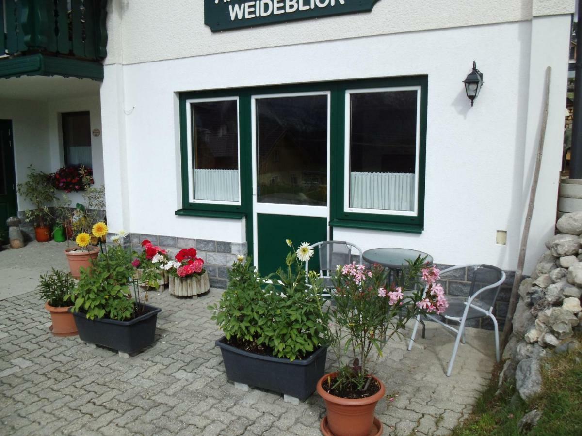 Weideblick Apartment Tauplitz Bagian luar foto